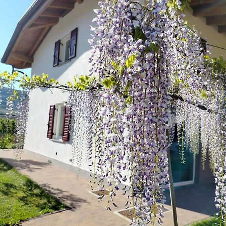 Agritur Lavanda Nave San Rocco Екстер'єр фото