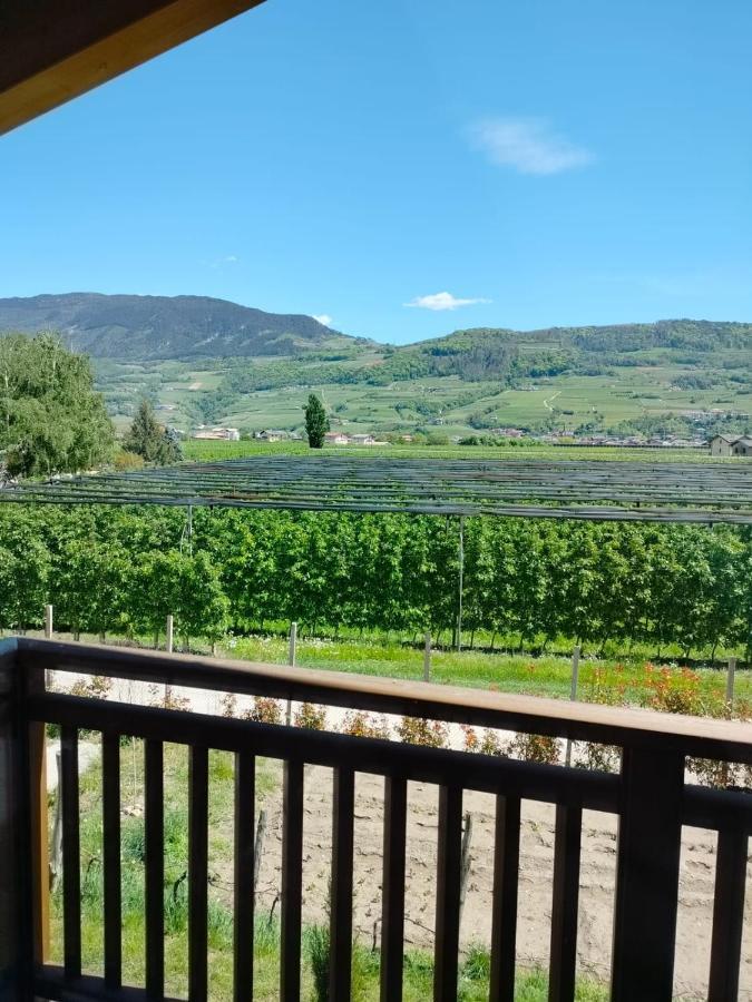 Agritur Lavanda Nave San Rocco Екстер'єр фото