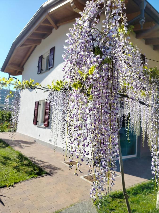 Agritur Lavanda Nave San Rocco Екстер'єр фото