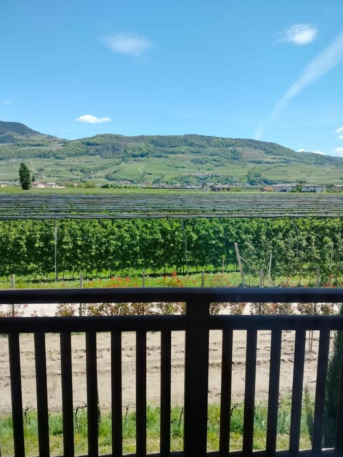 Agritur Lavanda Nave San Rocco Екстер'єр фото